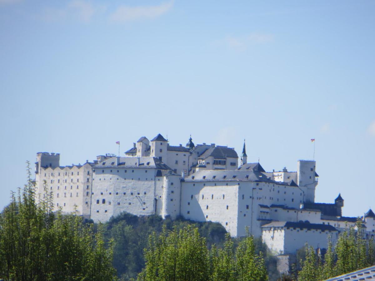 Premium City Apartment Amadeus Salzburg Buitenkant foto